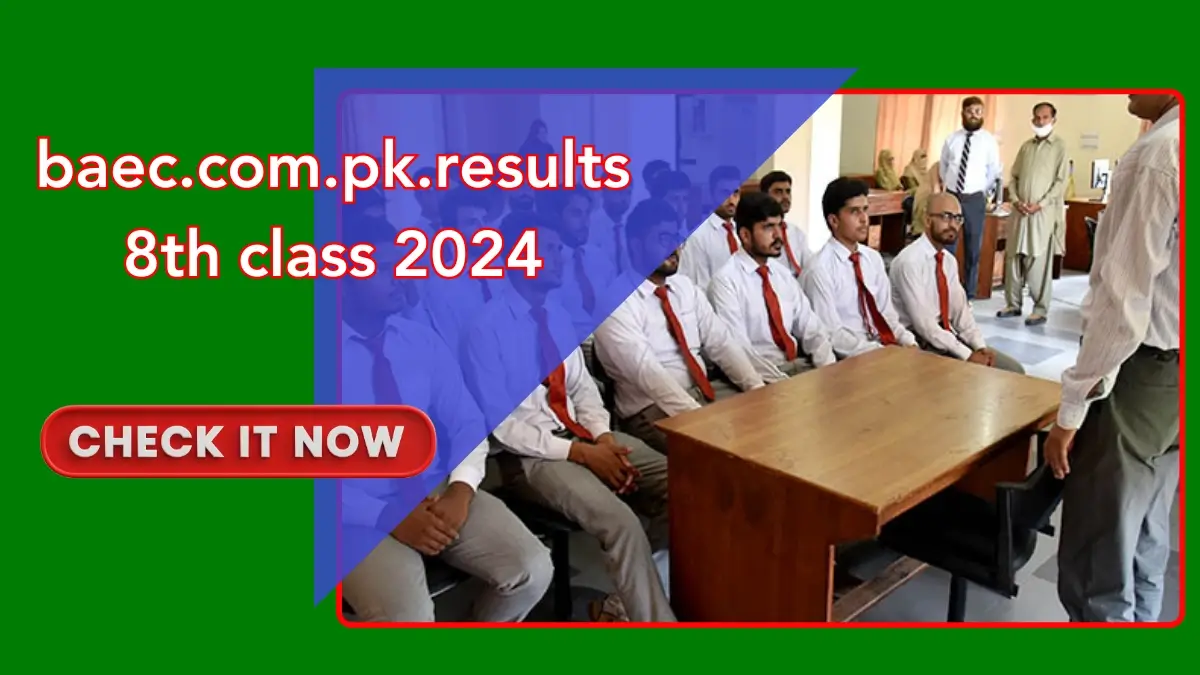 baec.com.pk.results 8th class 2024